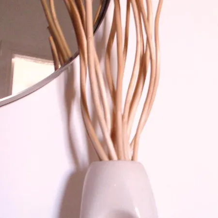 Rey Santa Eulalia del Río