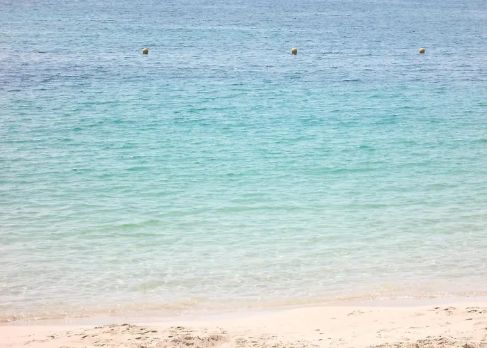 Casa de hóspedes Rey