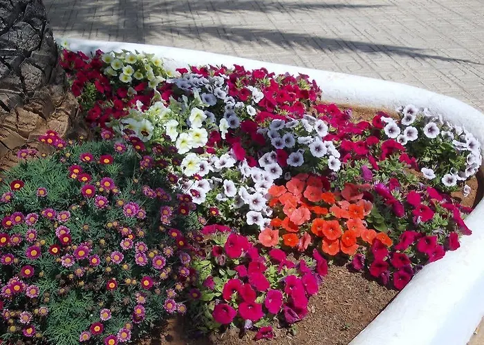 Rey Casa de hóspedes