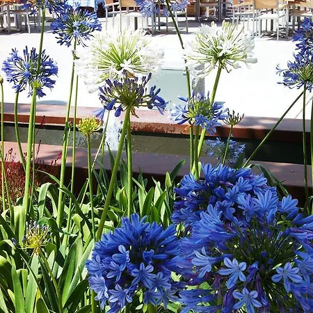 Rey Santa Eulária des Riu