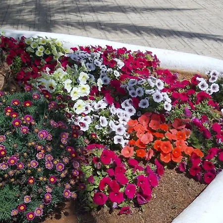 Rey Casa de hóspedes