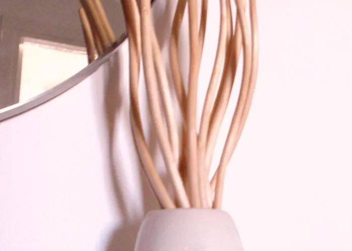 Rey סנטה אאולריה דס ריו